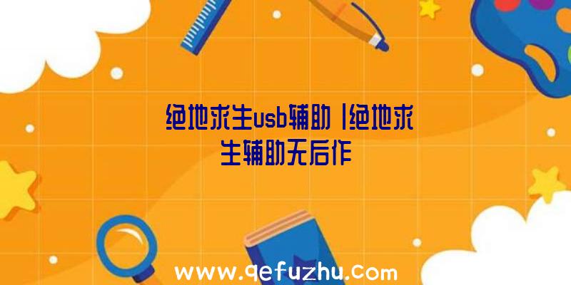 「绝地求生usb辅助」|绝地求生辅助无后作